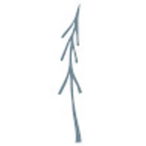 Meet your Posher, Tiny pine